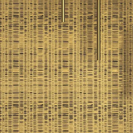 Grand Supreme Jacuzzi By Liuksai Klaipėda